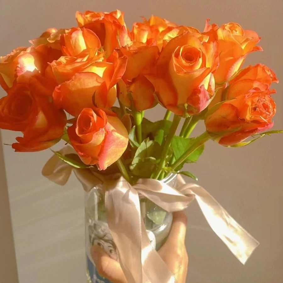 【花喜甄选】金辉单头玫瑰20支装云南基地现摘现发