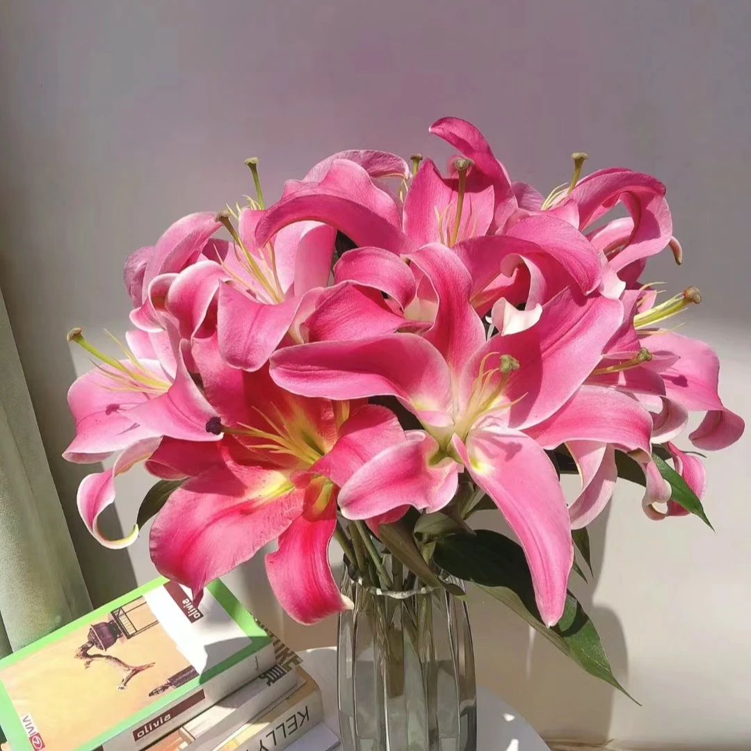【花喜甄选】罗宾百合双头云南鲜花基地现摘直发顺丰包邮