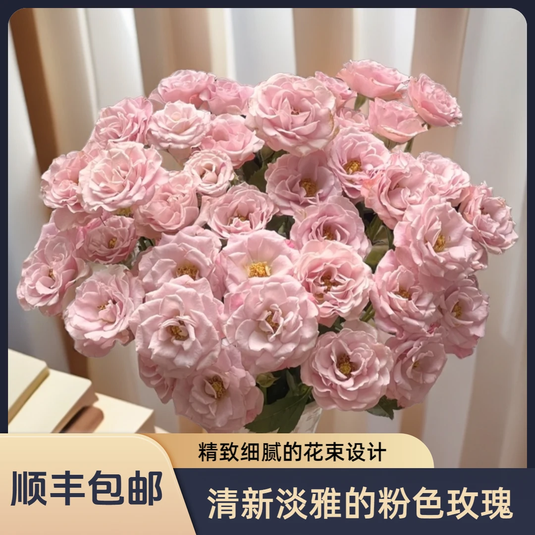 【花喜甄选】粉色纯真多头玫瑰鲜花云南基地现摘现发鲜切花顺丰包邮