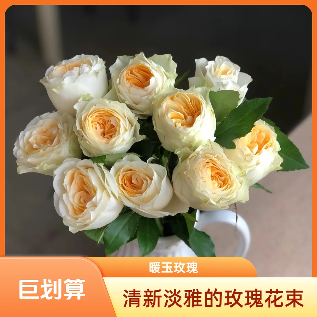 【花喜甄选】暖玉单头玫瑰鲜花云南基地现摘现发顺丰包邮