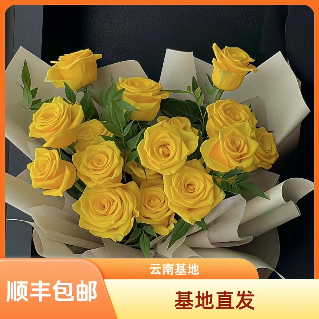 【花喜甄选】玫瑰的故事黄亦玫同款单头黄玫瑰鲜花云南直发顺丰包邮