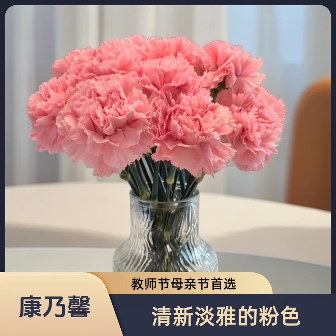 【花喜甄选】粉色康乃馨鲜花云南基地直发昆明直批现采水养插花家庭