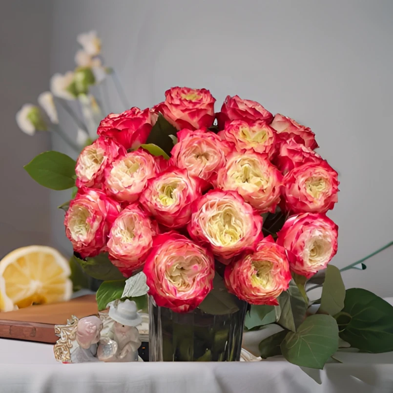 【花喜甄选】苹果杰克20支玫瑰云南基地现摘顺丰包邮昆明鲜花