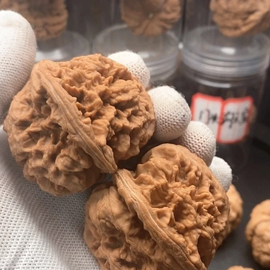 文玩核桃把件平*53大粗筋