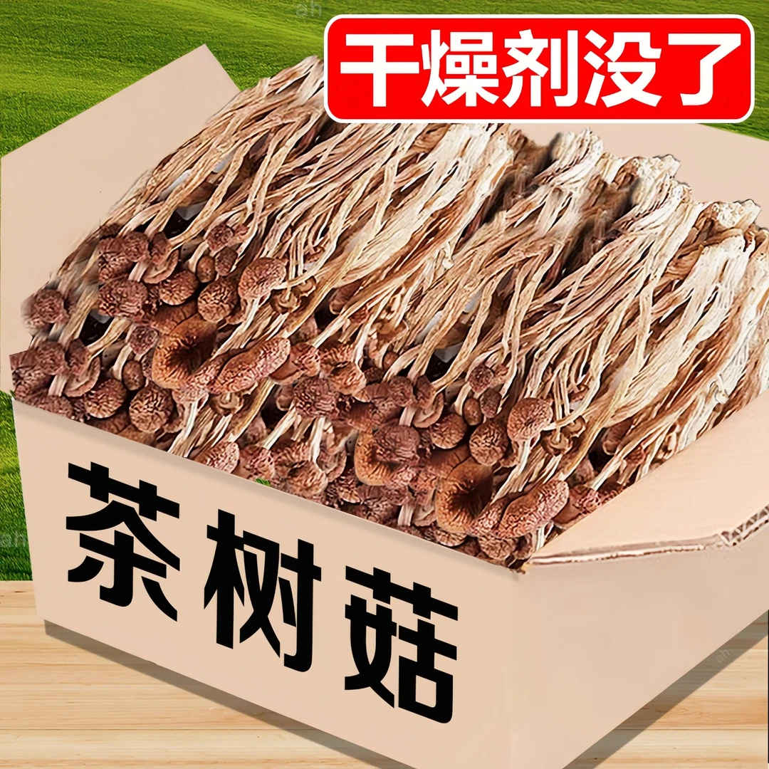 茶树菇古田土特产干货农家新货不开伞茶树菇茶食用菌煲汤干锅食材