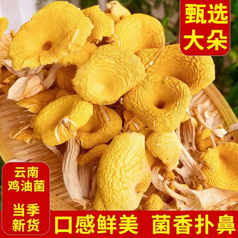 鸡油菌干货云南特产鸡油菌黄丝菌黄金菇煲汤食用菌营养土特产包邮