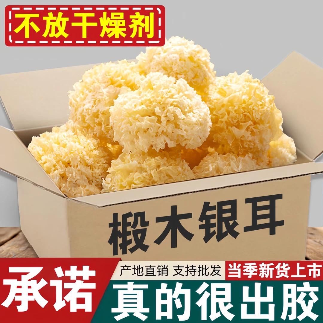 椴木小银耳干货白木耳软糯易出胶浓稠福建古田特产丑耳50/250克