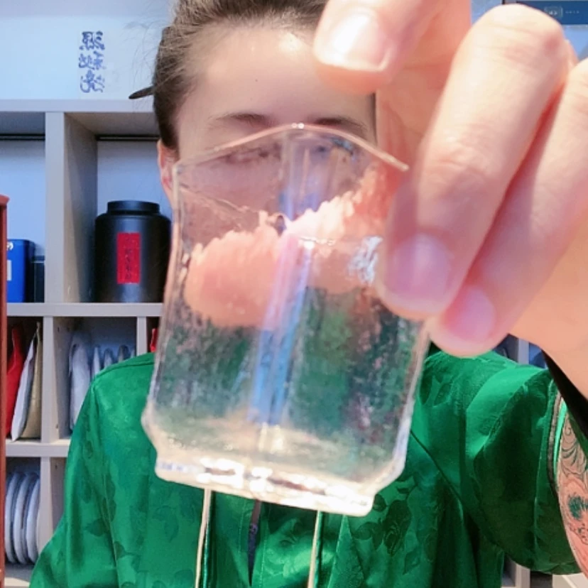 【闪购商品】密胺碟49特价茶6泡高货新人引流款