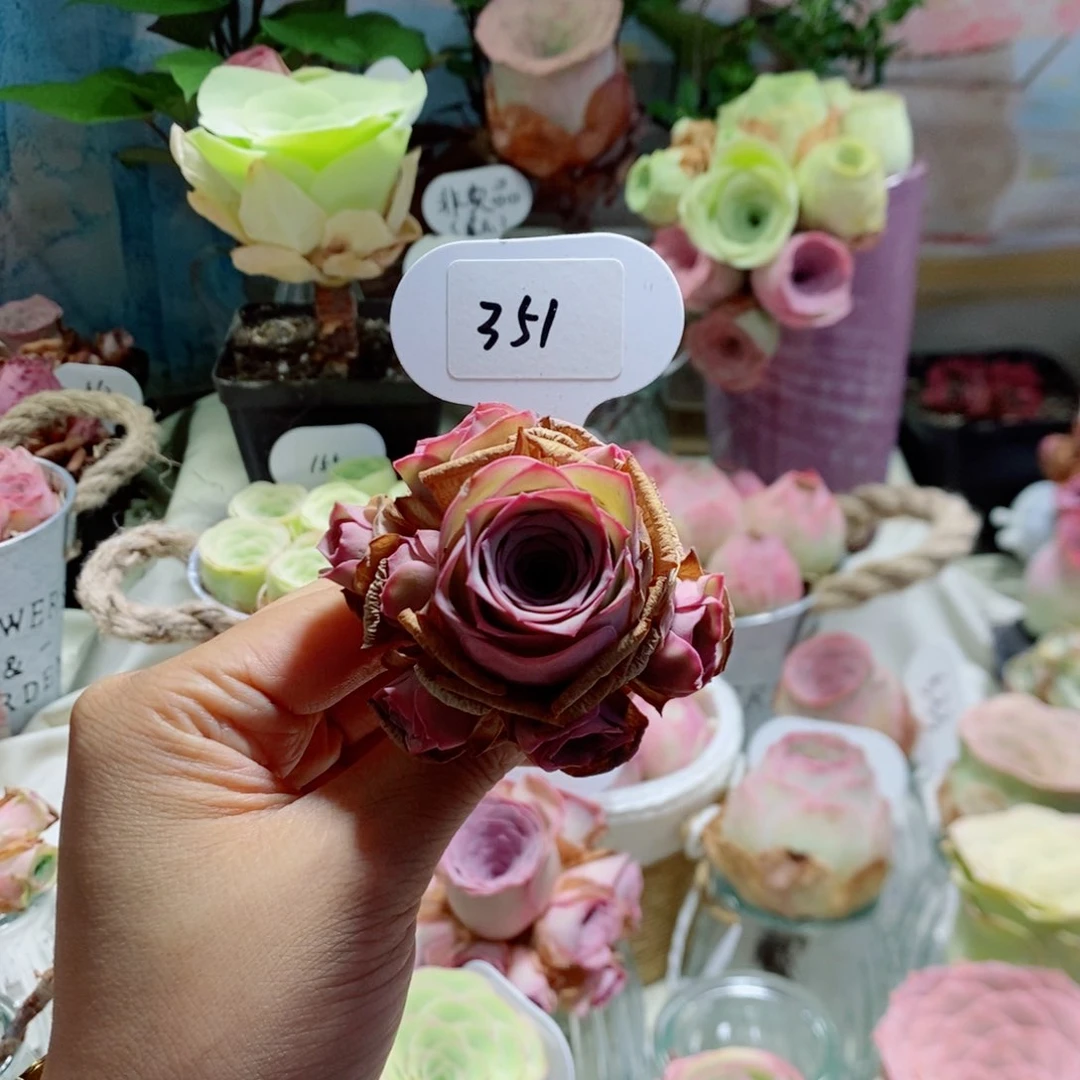 蜜桃精灵手捧花6公分左右351。