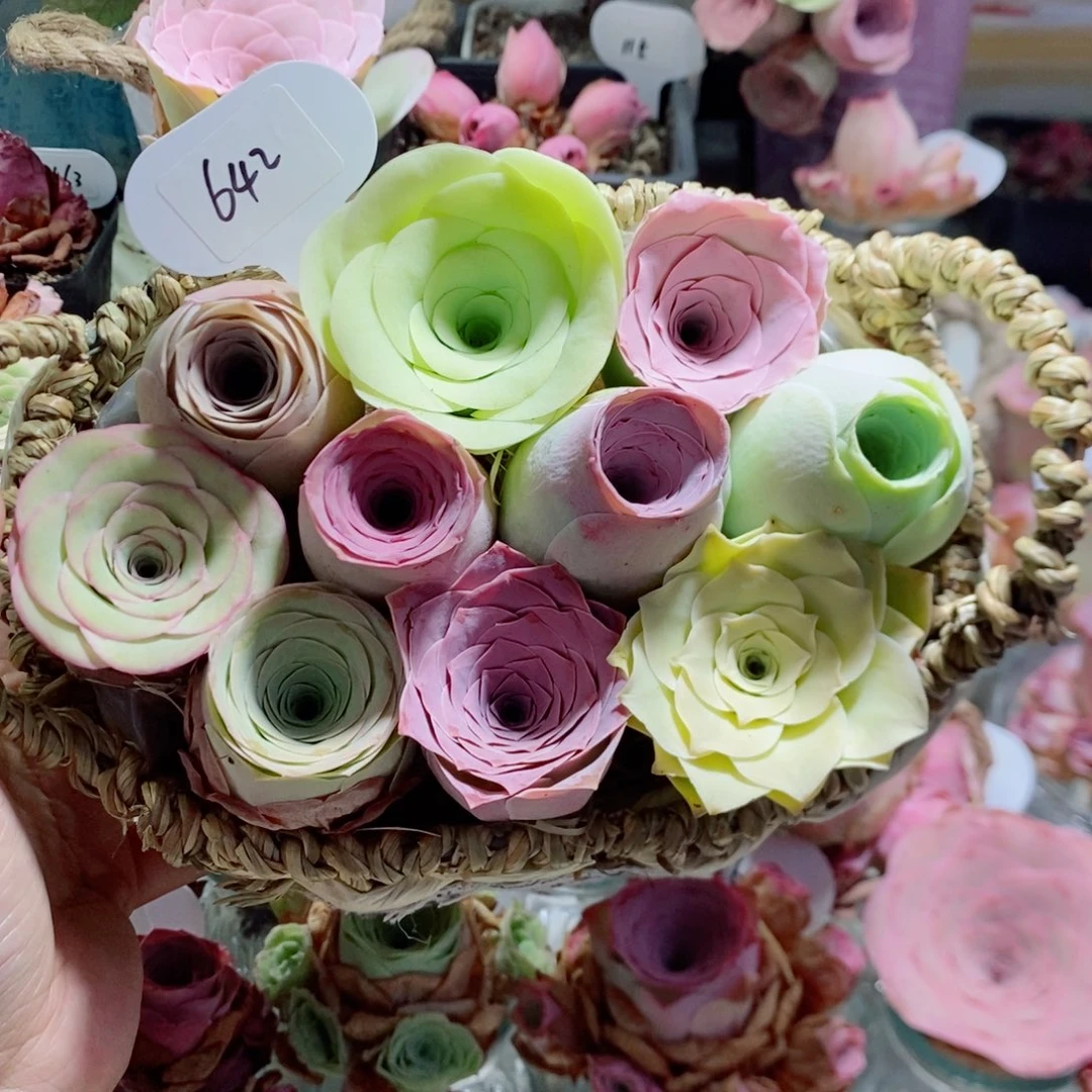 10颗精品组合双耳花篮（3-4公分左右）642