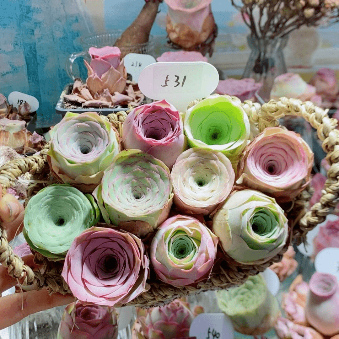 10颗组合双耳花篮531。