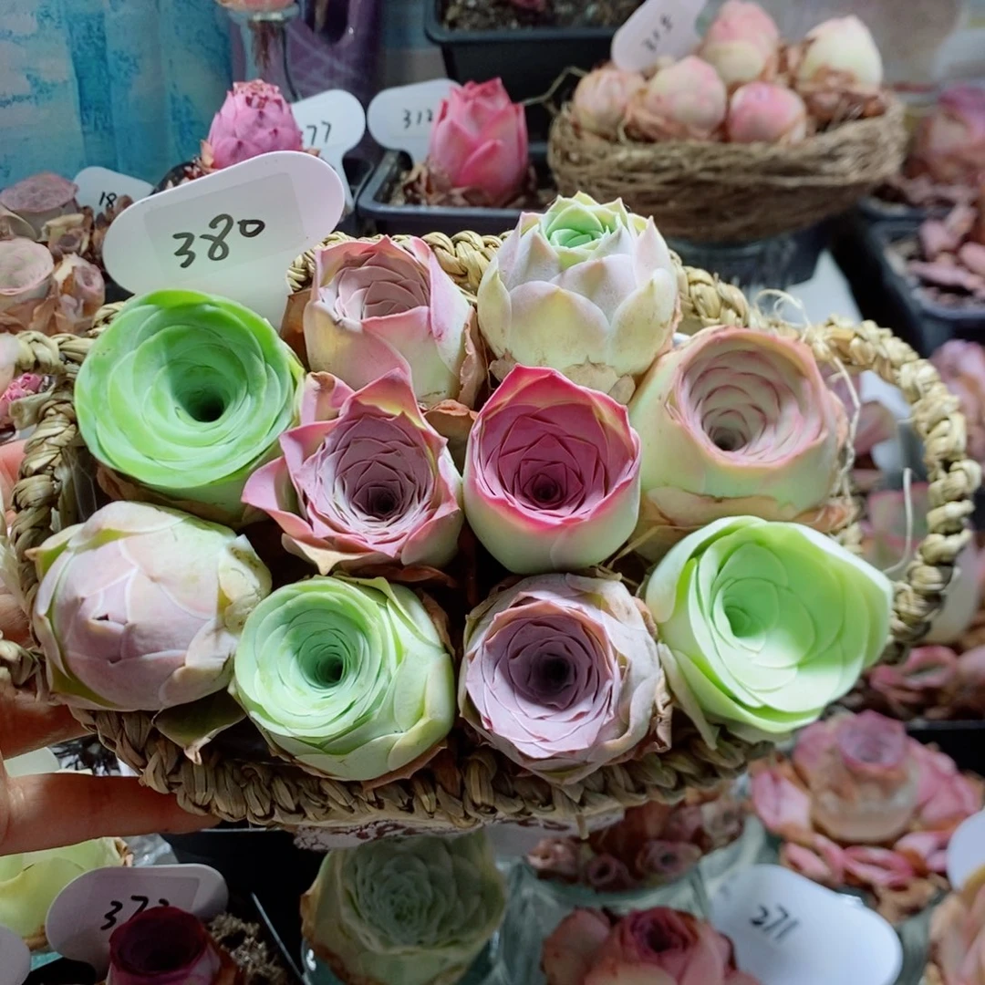 10颗组合双耳花篮380。