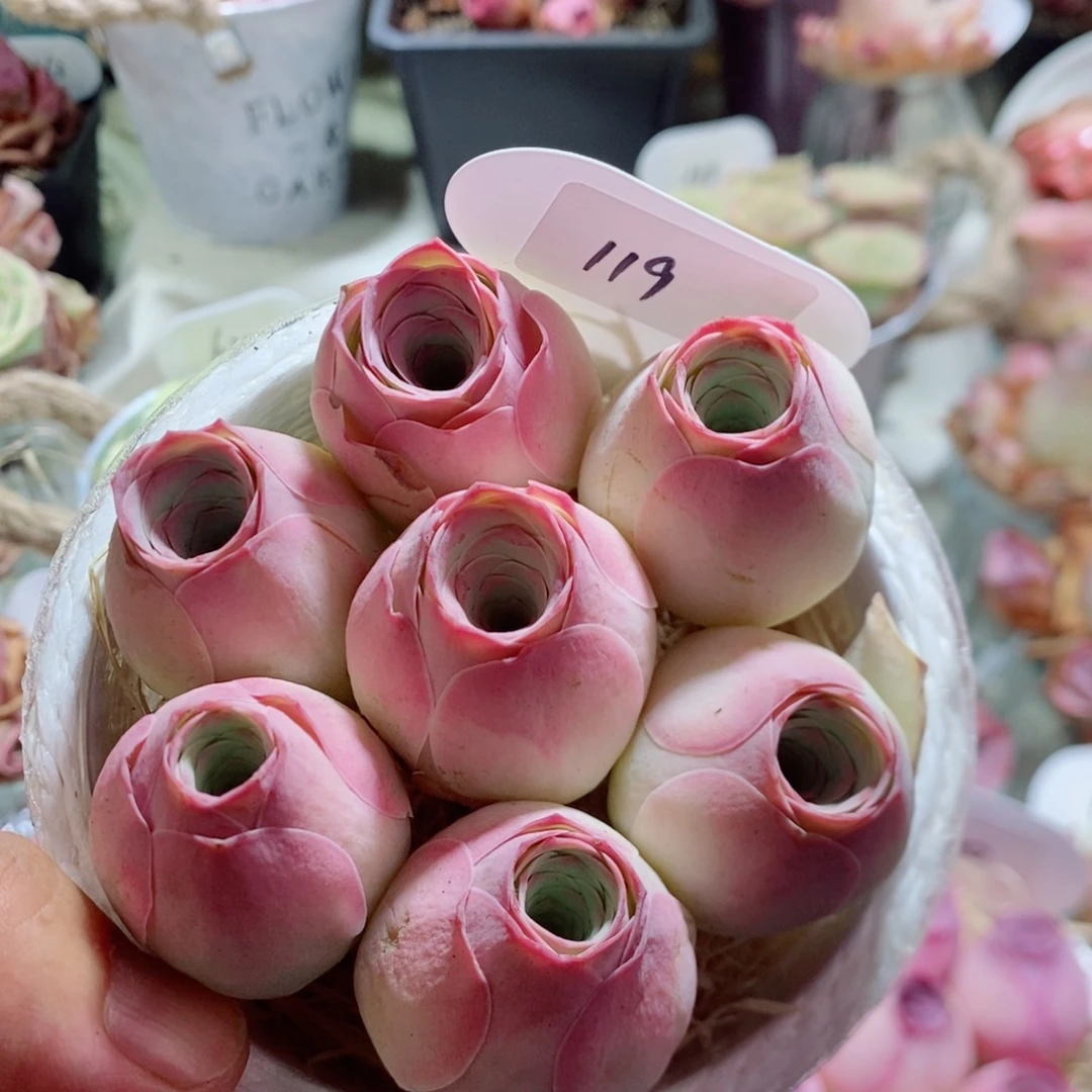 119水蜜桃七棵一组