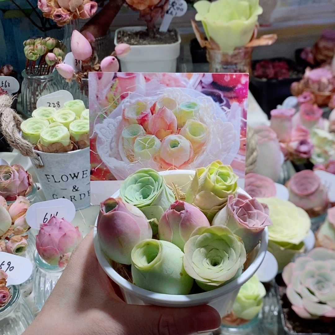 漂亮小花桶精品7颗组合（个头不大）