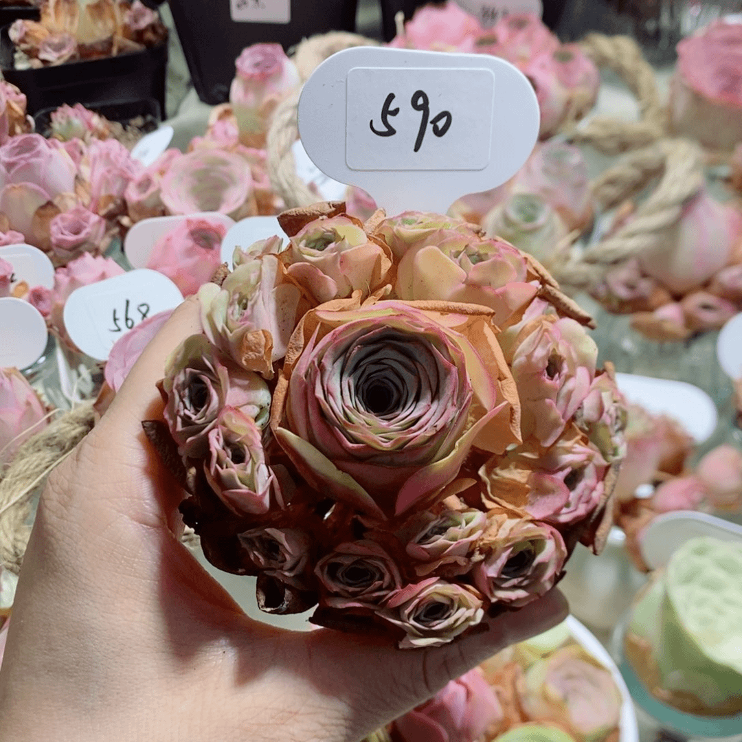 590毛杂手捧花。