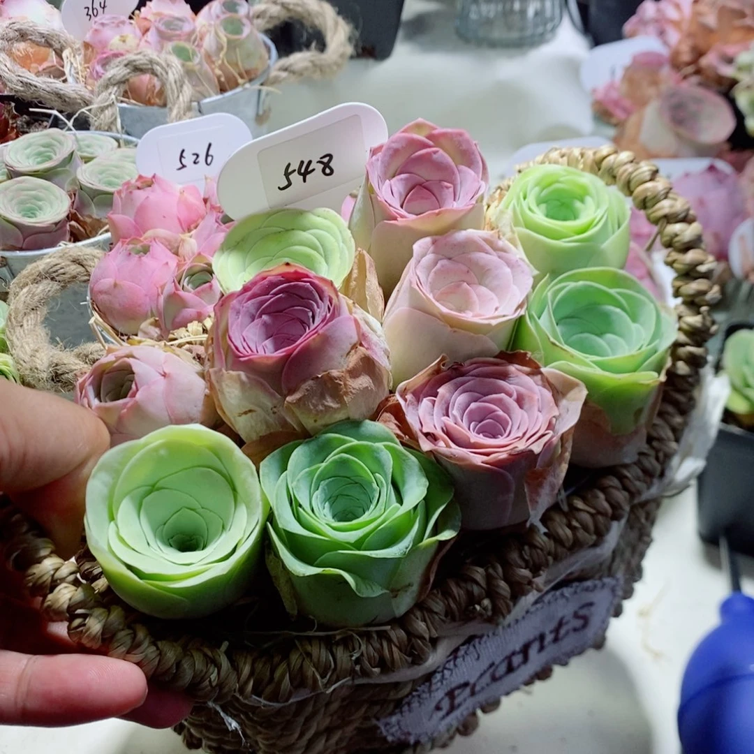 548漂亮花篮十颗一组