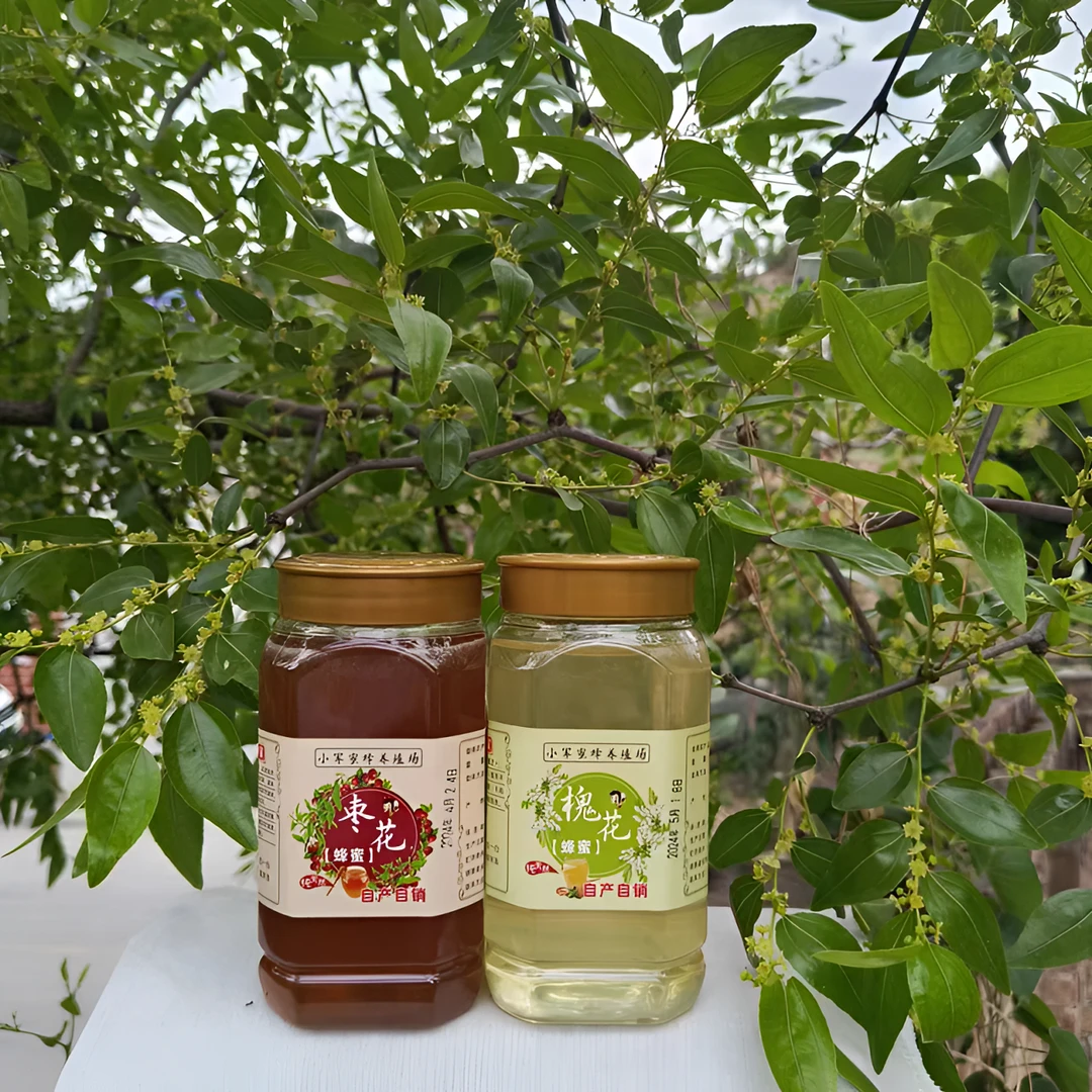 【庄户熊优选】2025农家蜂蜜洋槐花蜜枣花蜜农村自产自销