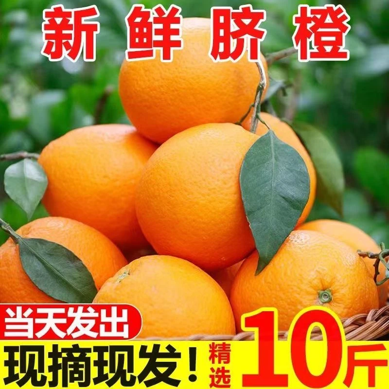【新店半价】正宗高山脐橙批发爆甜新鲜橙子薄皮超甜3/5/9斤包邮