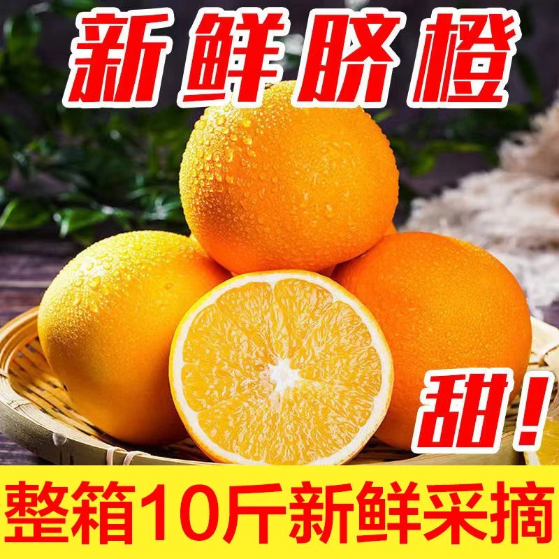 【新店半价】脐橙橙子当季新鲜水果正宗果冻橙精品新鲜3/5/9斤包邮