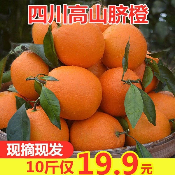 【超低价】橙子新鲜脐橙新鲜应季水果超甜整箱批发薄皮3/5/9斤包邮