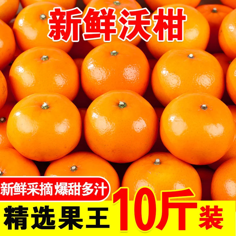 【新店半价】沃柑当季新鲜孕妇水果手剥薄皮桔子批发3/5/9斤包邮