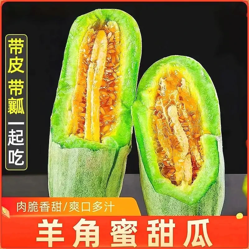 头茬羊角蜜甜瓜现摘产地直发应季水果新鲜水果香甜损坏包赔甜脆