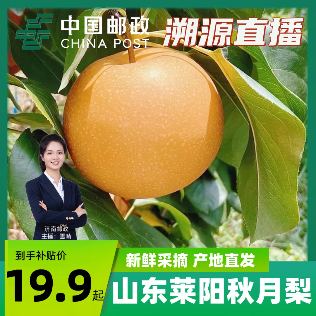 【邮政补贴】山东莱阳秋月梨5斤装（坏果包赔）