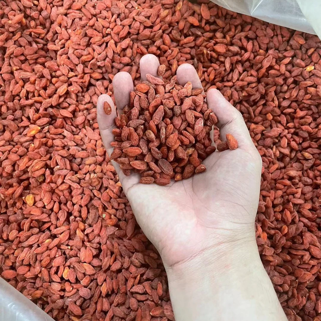 无硫宁夏枸杞子泡茶煲汤