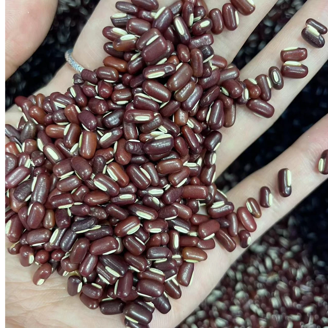 精选无硫赤小红豆（桂圆干）