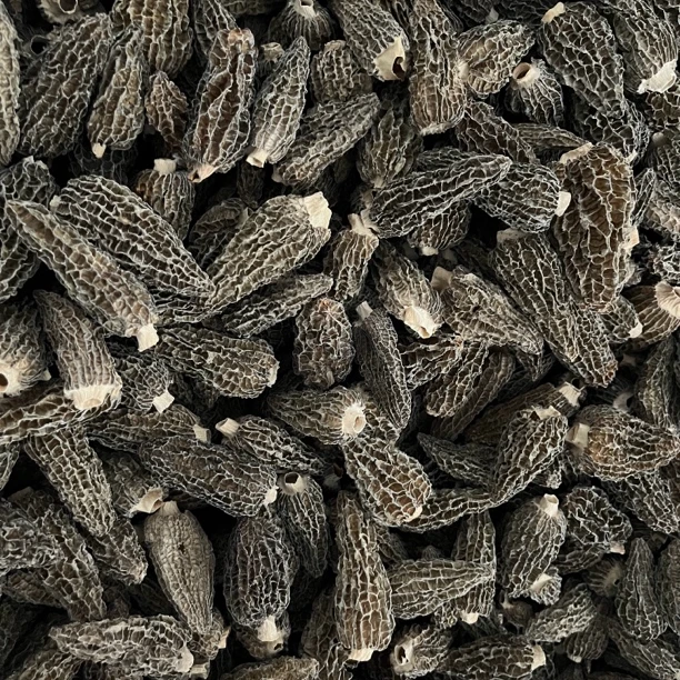 2025年头茬新货羊肚菌全剪脚光帽煲汤营养好吃菌菇