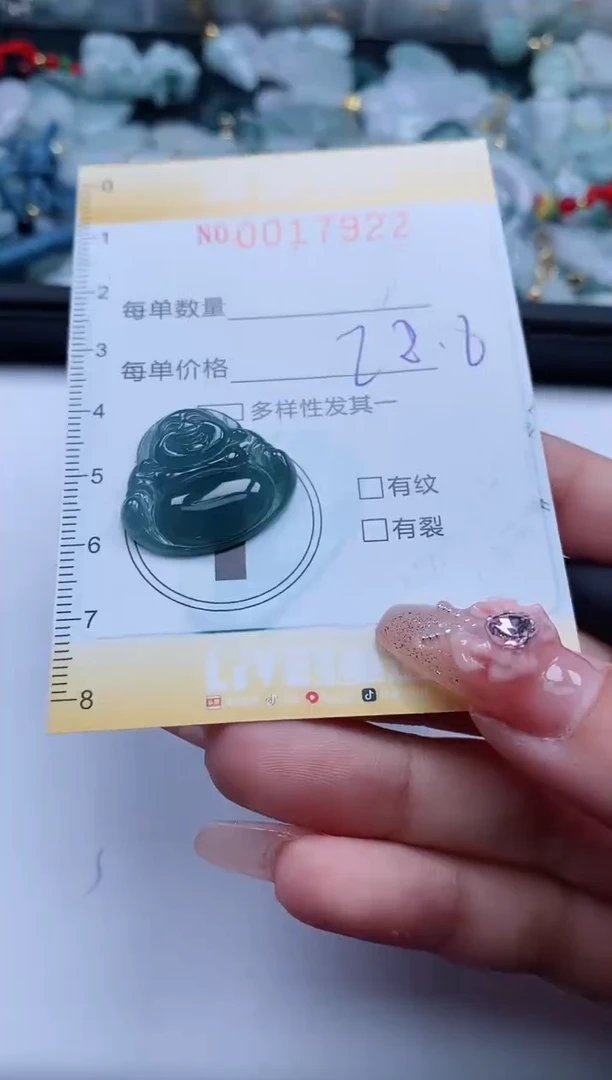 【闪购商品】翡翠颈饰未镶嵌闪购0017922