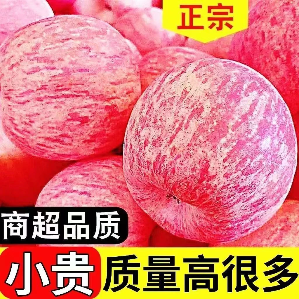 山东烟台栖霞红富士苹果水果吃的新鲜脆甜整箱