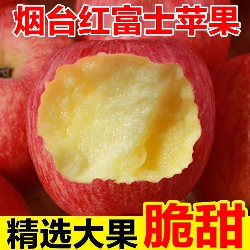 【脆甜现摘】烟台红富士当季应季新鲜水果整箱冰糖心丑苹果