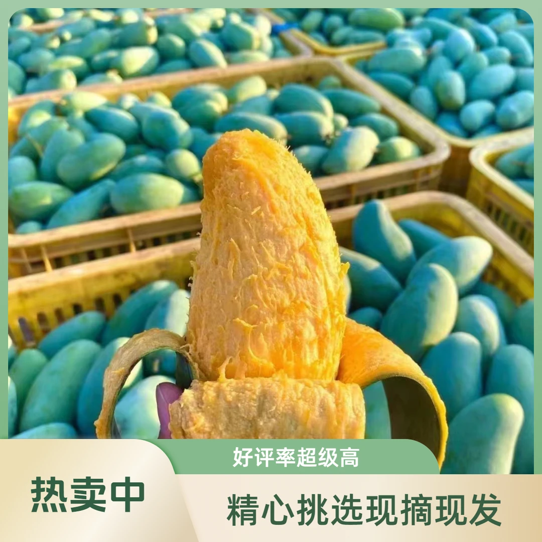广西百色桂七香芒产地果园现采水果香甜多汁5/9斤包邮成熟香味