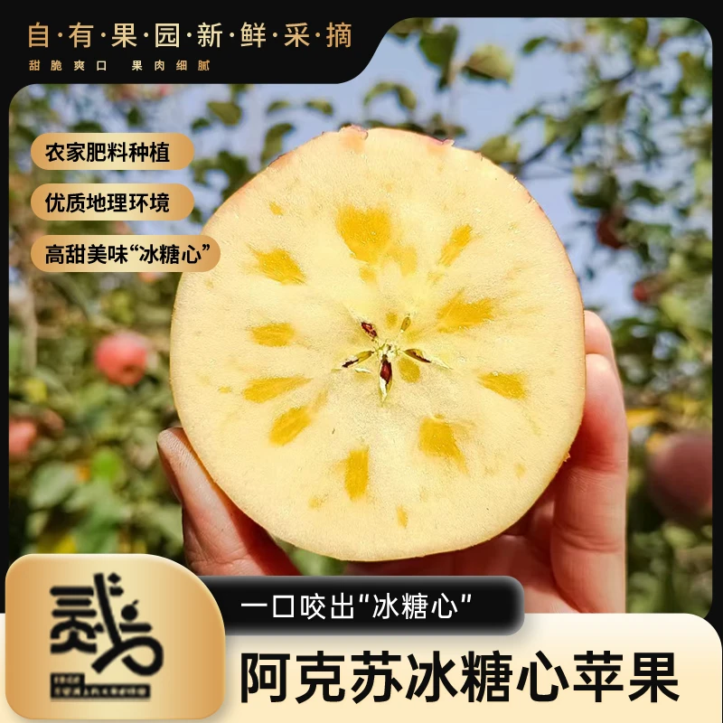 【优惠尝鲜款】新疆阿克苏农家冰糖心苹果脆甜多特产原生态多汁3斤1