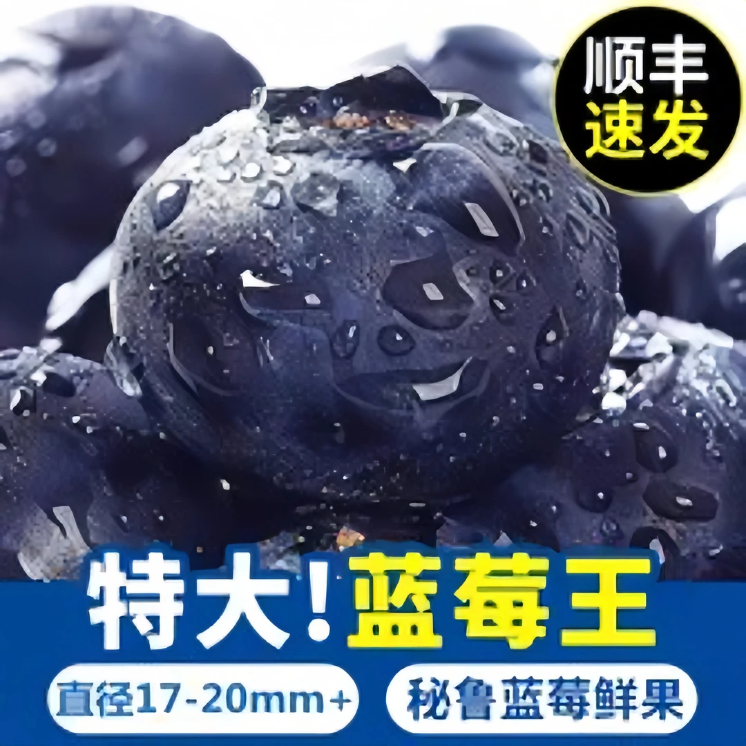 【大果】现货新鲜种植鲜果孕妇宝宝种植水果蓝梅2盒4盒8盒包邮11