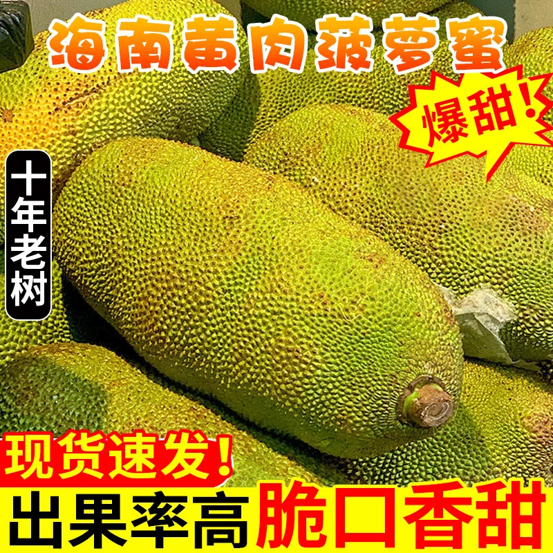 空运发货 海南三亚菠萝蜜黄肉干苞新鲜水果8斤热带一整个香甜食用