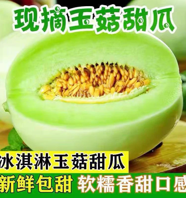 海南食用甜瓜新鲜热带水果香瓜蜜瓜哈蜜瓜2斤肉质甜香鲜嫩甜1玉菇