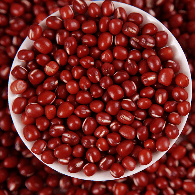 新东北红小豆易出沙熬粥做豆沙6斤