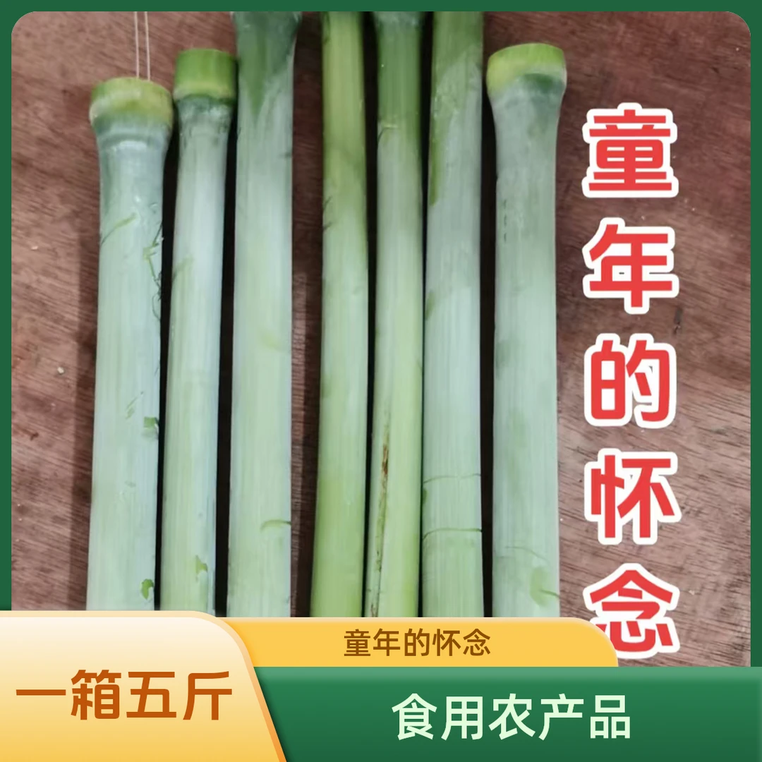 小园甜杆老品种，一箱五斤，童年的怀念