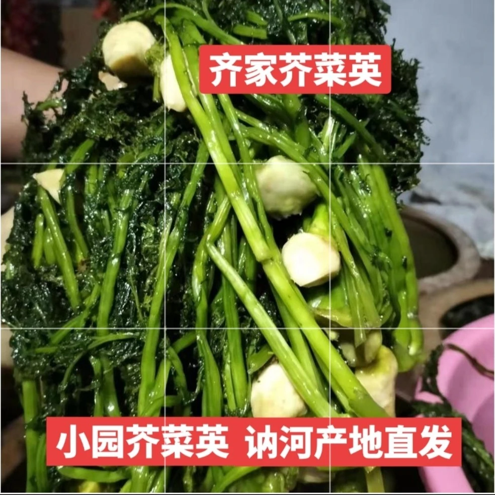 2025年新腌芥菜英,大缸腌制咸口,泡淡之后凉拌或炖豆腐