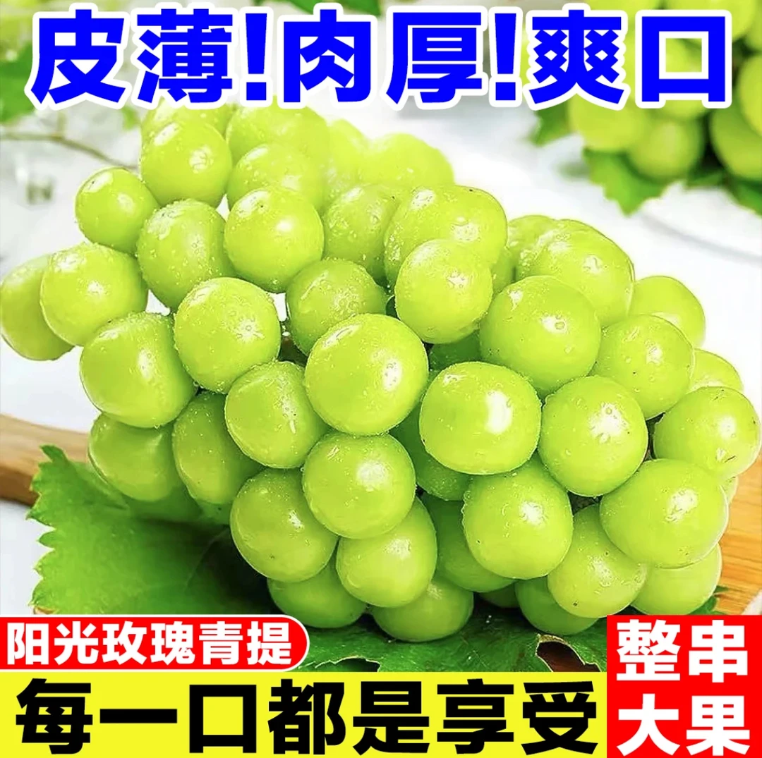 【江浙沪皖包邮】新鲜现摘阳光玫瑰葡萄浦江阳光玫瑰 无核脆甜