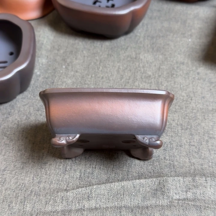 红陶20CM（含）-50CM（不含）秋**树