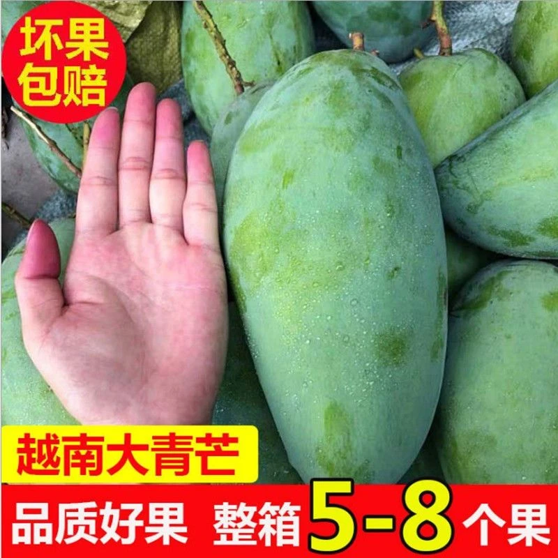 [精品]当季新鲜大青金煌芒青芒果生吃甜脆酸芒果大果整箱直发