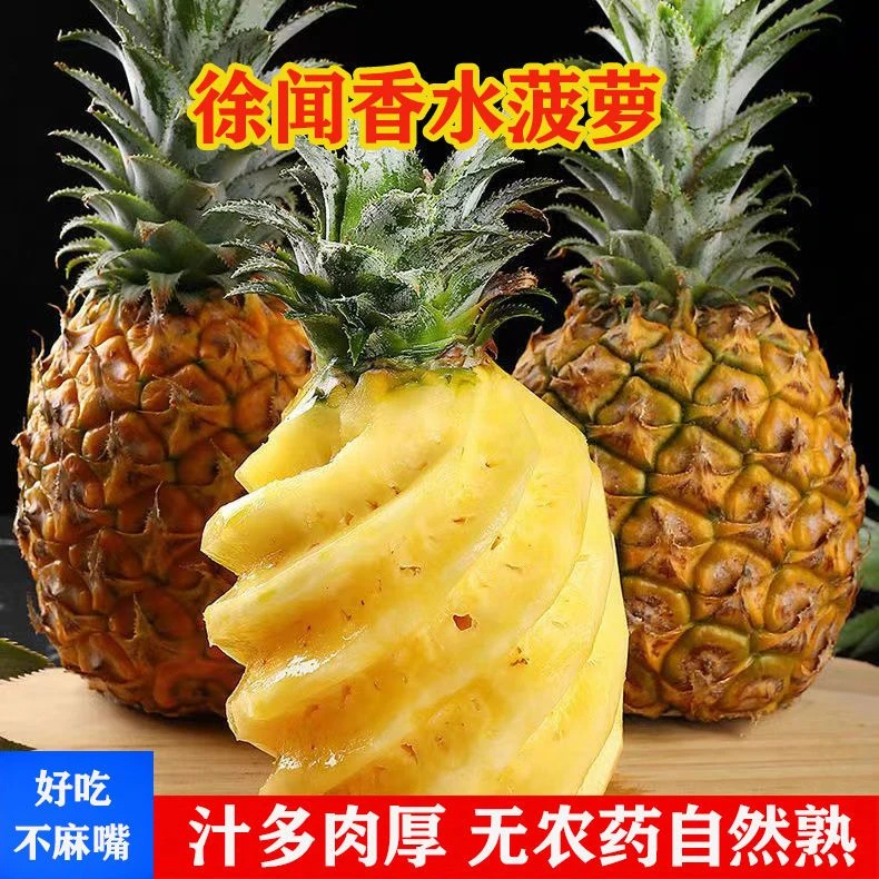 徐闻香水菠萝香脆多汁正宗天然树上熟小菠萝新鲜现摘孕妇当季水果