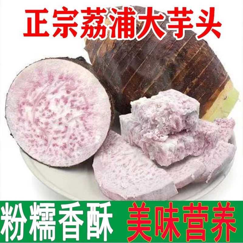 广西荔浦新鲜大芋头现挖槟榔芋粉香芋紫藤毛芋桂林特大号蔬菜批发