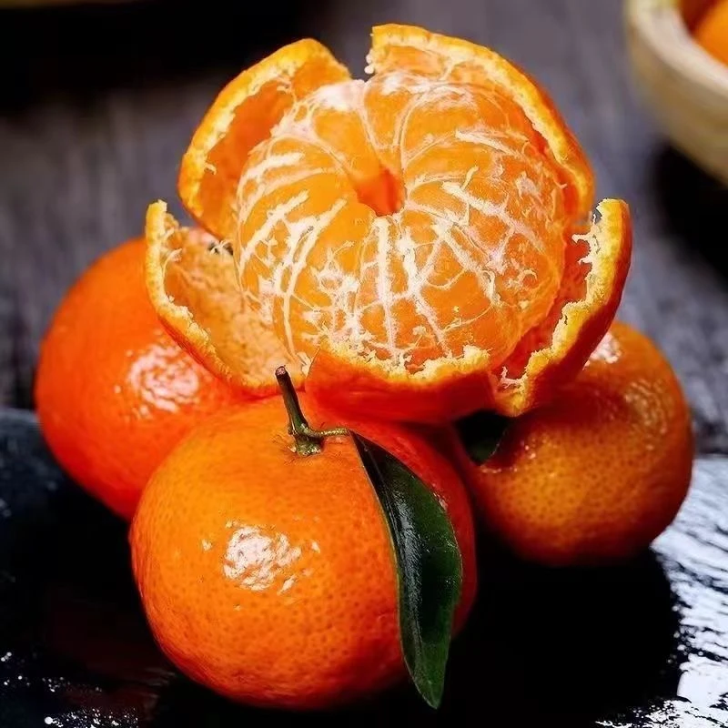 【今日爆款】广西正宗沙糖桔无籽爆甜大果皮薄肉厚精选果园直发橘