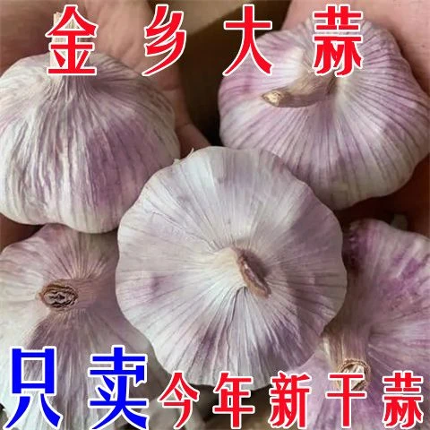 【产地直发】山东金乡紫白皮大蒜干蒜2斤大蒜头3斤5斤10斤批发包邮