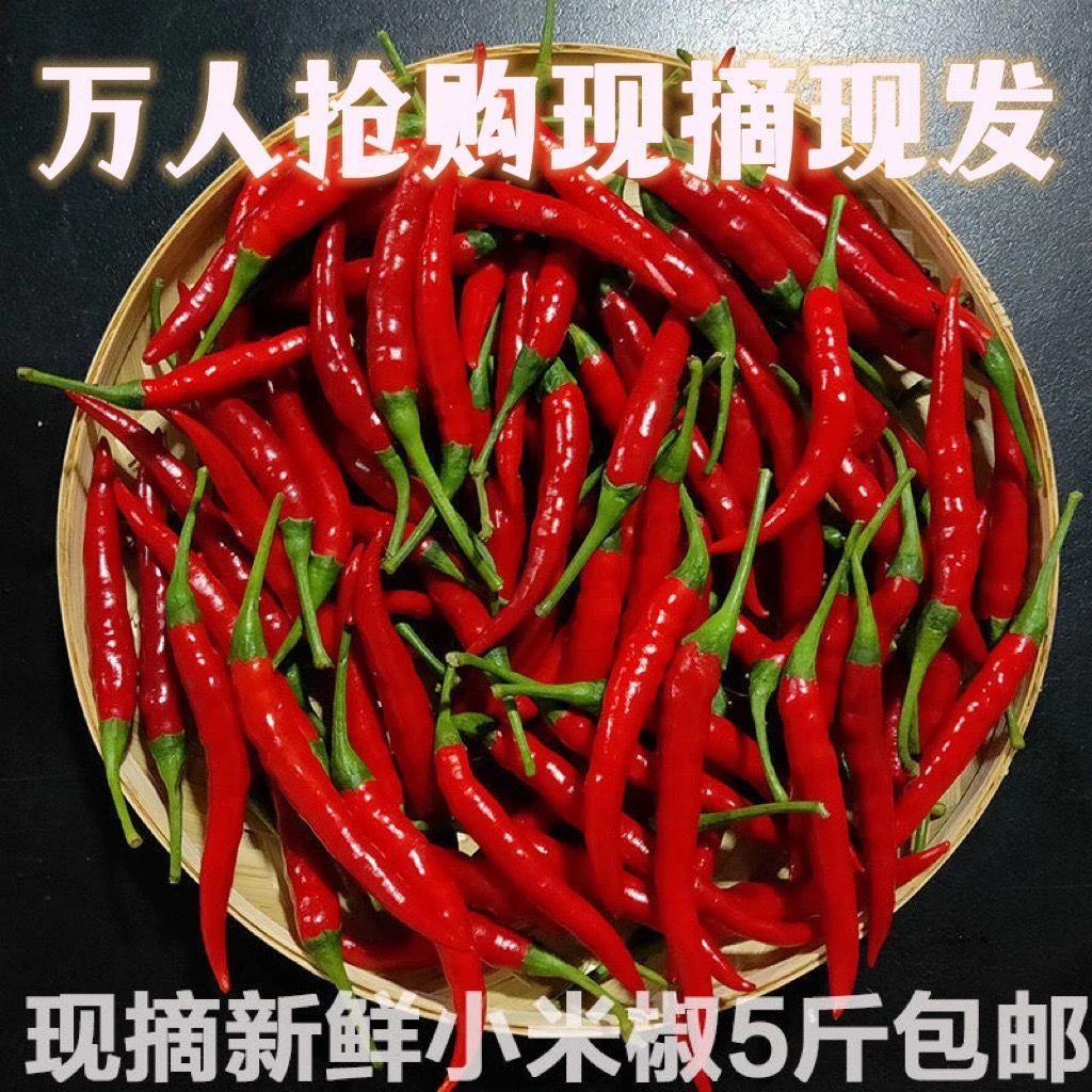 新鲜小米椒特辣小米辣鲜椒朝天椒红辣椒指天椒泡椒红辣椒产地直发