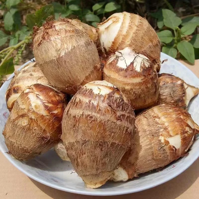 山东现挖香糯牛奶芋头批发香芋蔬菜毛芋农家种植精品毛芋头包邮